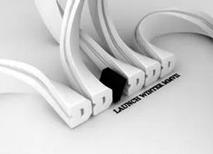 夺得胜利的球队庆祝欢声笑语